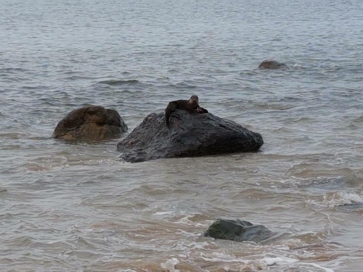 Shiskine Gairloch Esterno foto